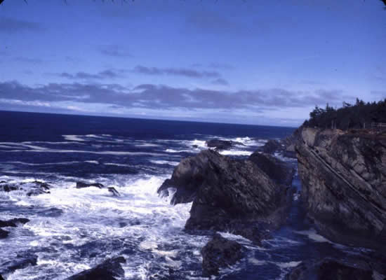 Nature Picture Example