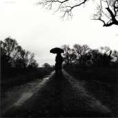 Second cover art for the single, kimi no koto ga.
