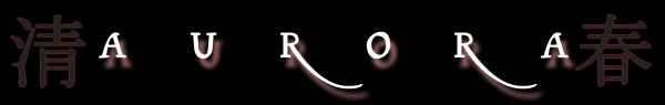 A simplistic black banner with the word AURORA written on it.
